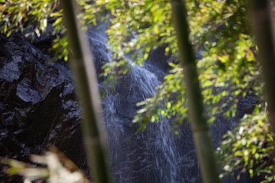 IGN收购Eurogamer GamesIndustry和VG247等五家媒体