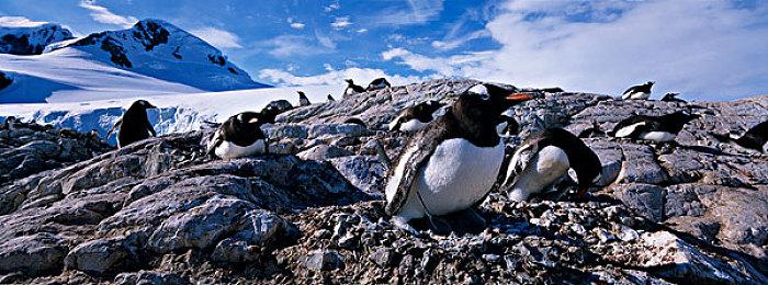 《战锤40K：星际战士2》全球解锁时间公布：主机早几小时